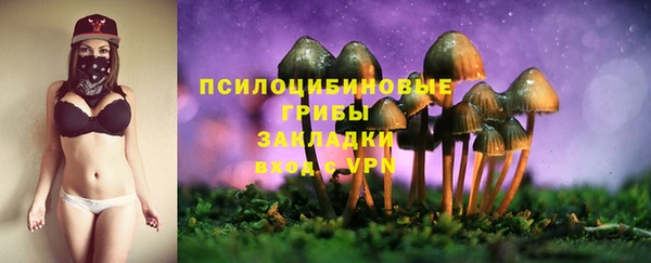 винт Нягань