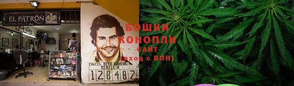 винт Нягань