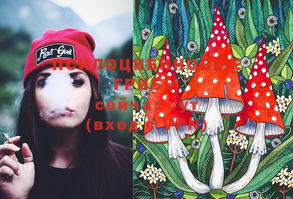 PSILOCYBIN Нязепетровск