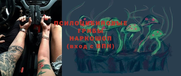 PSILOCYBIN Нязепетровск