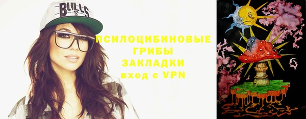 spice Няндома