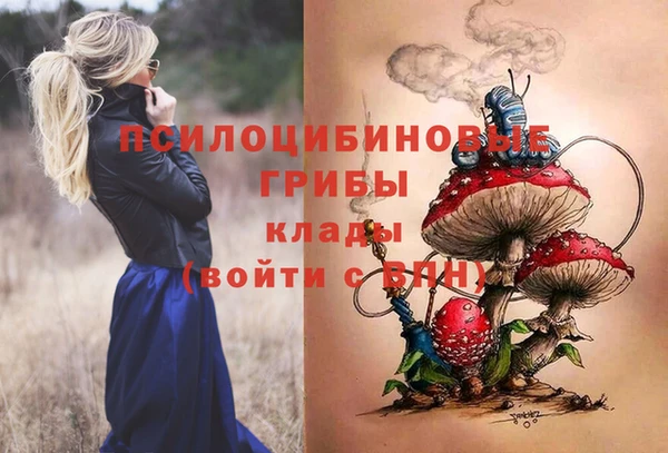spice Няндома