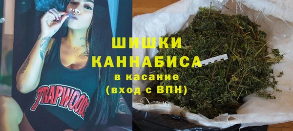 spice Няндома