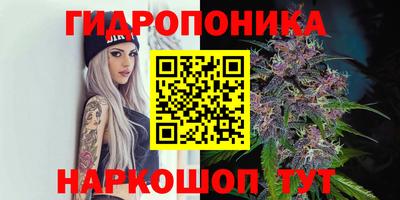 ALPHA PVP Комсомольск-на-Амуре